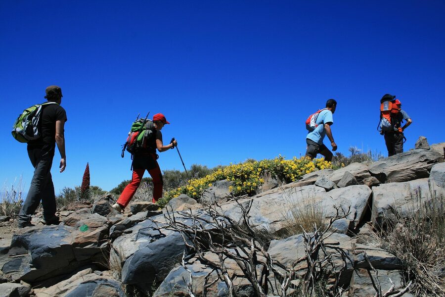 Teide National Park hiking trail