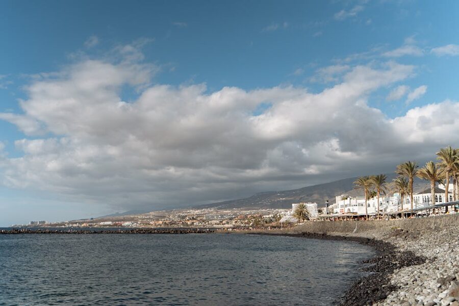 Tenerife rocky coastline with palm trees