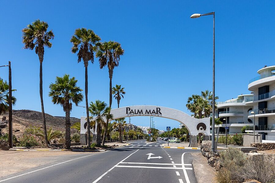 Palm Mar coast in southern Tenerife, the resident turtle area
