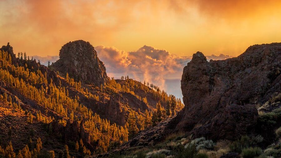 Sunset over Tenerife mountains and pine forest
