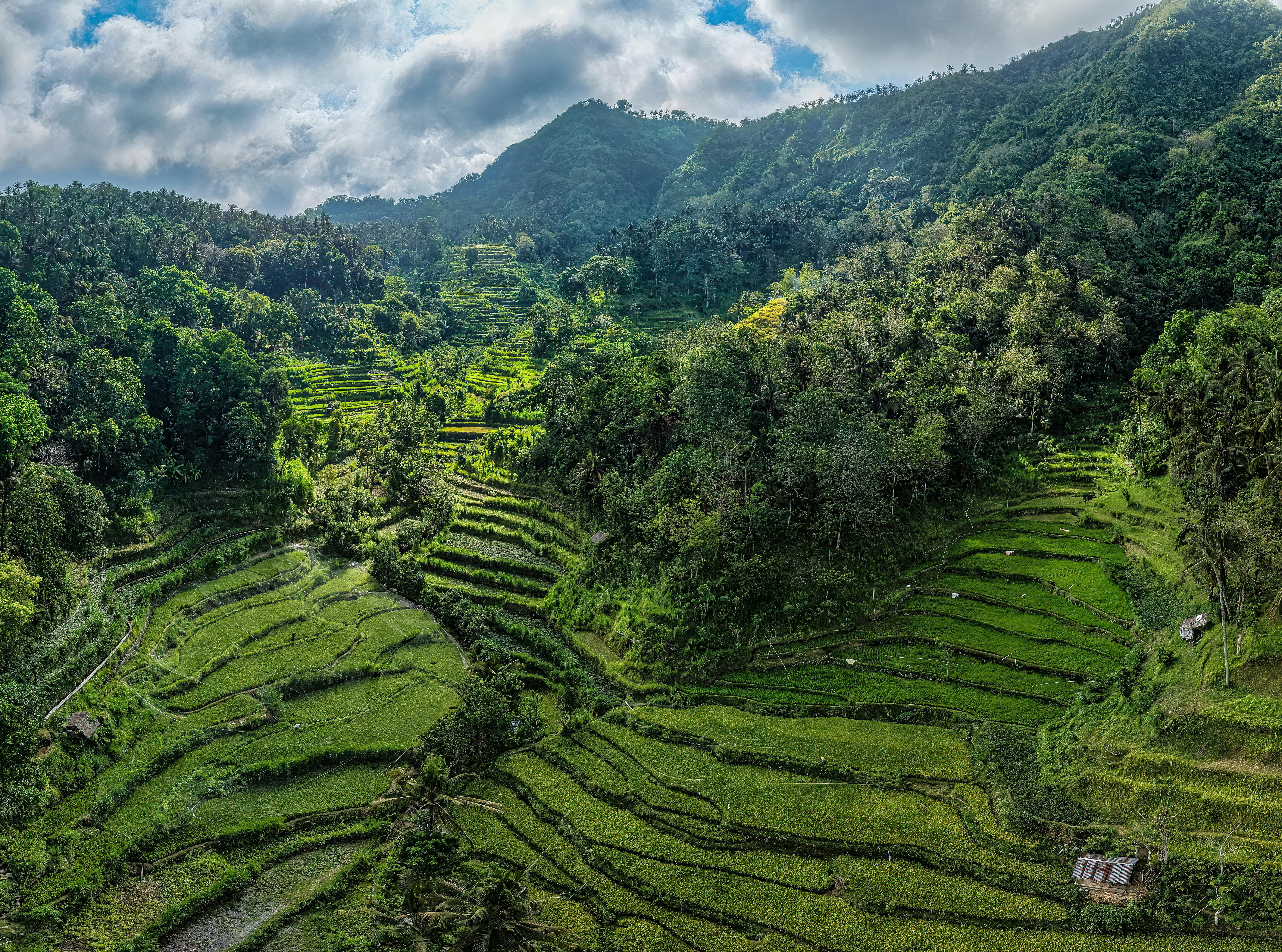 Aerial view of Bali rice terraces in a valley surrounded by mountains