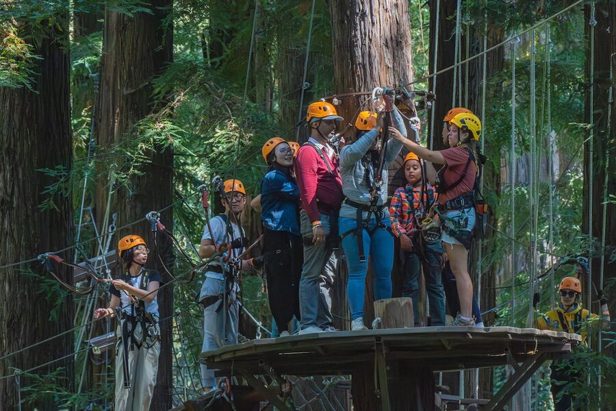 Group of people on zipline adventure through dark forest canopy