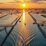 Thanh Toan Bridge - Chuon Lagoon and Seafood Dinner by Scooter - Final Thoughts