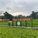 The Beautiful Garden, Rice Terrace and Waterfall In Bogor - A Scenic Journey through Bogor’s Natural and Cultural Treasures