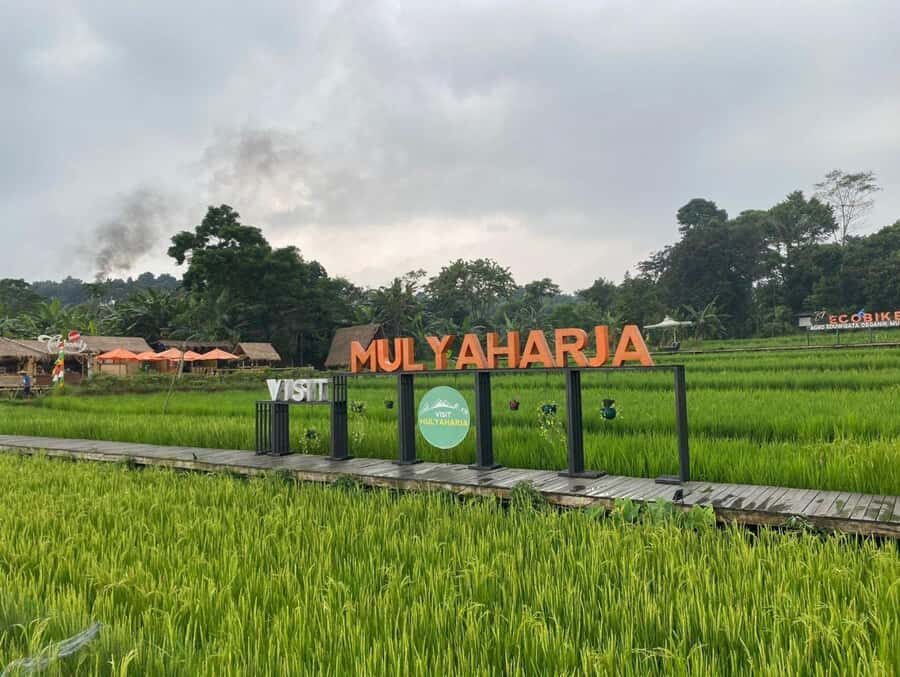The Beautiful Garden, Rice Terrace and Waterfall In Bogor - A Scenic Journey through Bogor’s Natural and Cultural Treasures