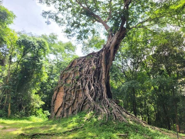 The Journey from Siem Reap to Kratie: Visit Sambo Prei Kuk - Sambo Prei Kuk: Cambodia’s Hidden Treasure