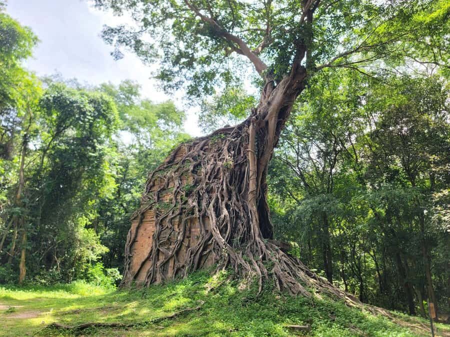 The Journey from Siem Reap to Kratie: Visit Sambo Prei Kuk - Sambo Prei Kuk: Cambodia’s Hidden Treasure