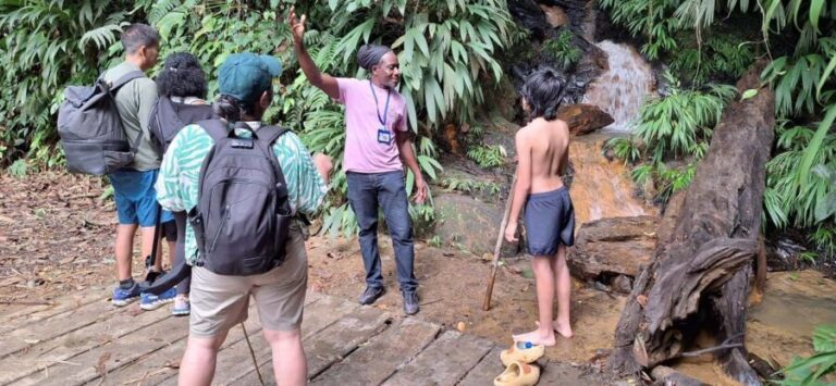 The Tobago Rainforest Tour - Exploring the Oldest Protected Rainforest in the Western Hemisphere