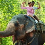 TheActivity that won the Best Tourist Attraction in SriLanka - A Closer Look at the Experience