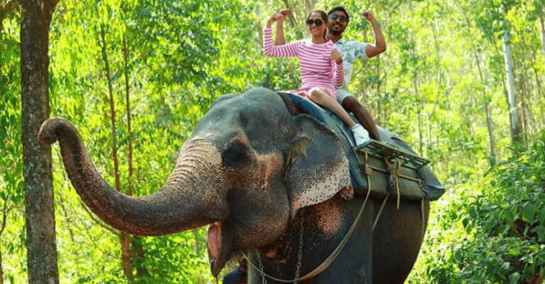 TheActivity that won the Best Tourist Attraction in SriLanka - A Closer Look at the Experience