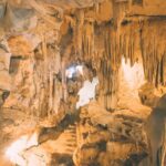 Thung Nham Bird Park, Bich Dong Pagoda, Legendary Caves Tour - Who Will Love This Tour?