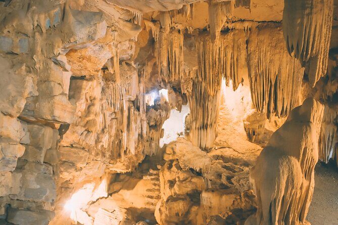 Thung Nham Bird Park, Bich Dong Pagoda, Legendary Caves Tour - Who Will Love This Tour?