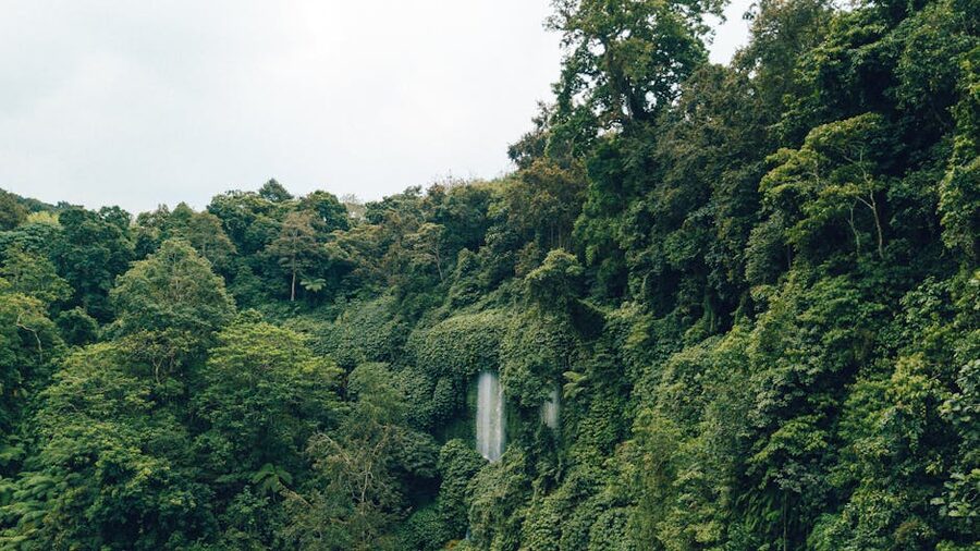 Cascading waterfall through rich green jungle in Bali