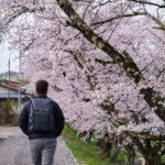 Timeless Takayama: Private Walk Through History & Beauty - The Experience of a Private Guide: Personal Touch Matters