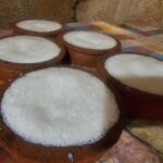 Tissamaharama: Birdwatching Tour with Village Experience - What to Expect in Detail