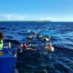 Tobago: Coral Reef Boat Tour with BBQ and Transfer - Practical Details & What You Need to Know