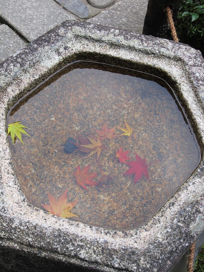 Autumn maple leaves at Tofuku-ji Kyoto