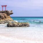 Tokyo: 2-Day Izu Coast & Cherry Blossom Trip in small group - Authentic Experiences and Traveler Insights