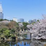 Tokyo: Anime-Inspired Cityscapes Day Tour (Makoto Shinkai) - A Complete Guide to the Tokyo: Anime-Inspired Cityscapes Tour