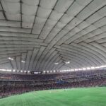 Tokyo: Baseball Game Experience with Local Guide & Snacks - The Practicalities & Value