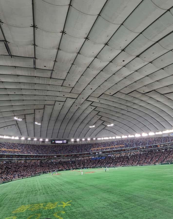 Tokyo: Baseball Game Experience with Local Guide & Snacks - The Practicalities & Value