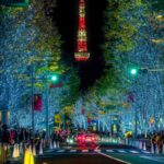 Tokyo City Private Tour Customizable Itinerary Top Places - Tokyo Skytree: A Tower of Modern Marvels