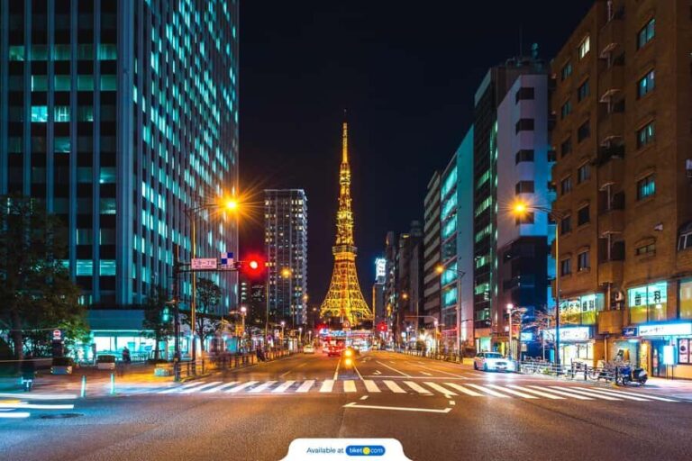 Tokyo Daikoku JDM Car Meet Tour with Private Driver-Guide - Practical Details & Value