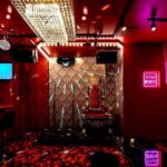 Tokyo: Ebisu Japanese Karaoke Snack Bar Experience - Who Would Enjoy This Experience?