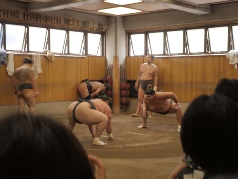 Tokyo: Exclusive Access to Sumo Morning Practice with Photos - The Practicalities: What You Need to Know