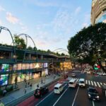 Tokyo Guided Tour: Omotesando, Takeshita dori, Meiji Jingu, and Shibuya - The Sum Up