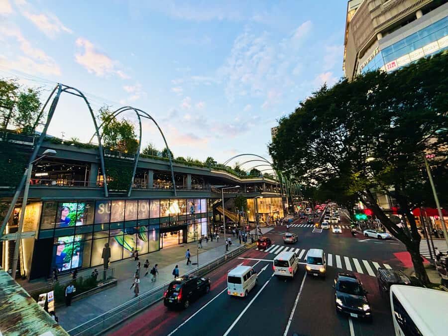 Tokyo Guided Tour: Omotesando, Takeshita dori, Meiji Jingu, and Shibuya - The Sum Up