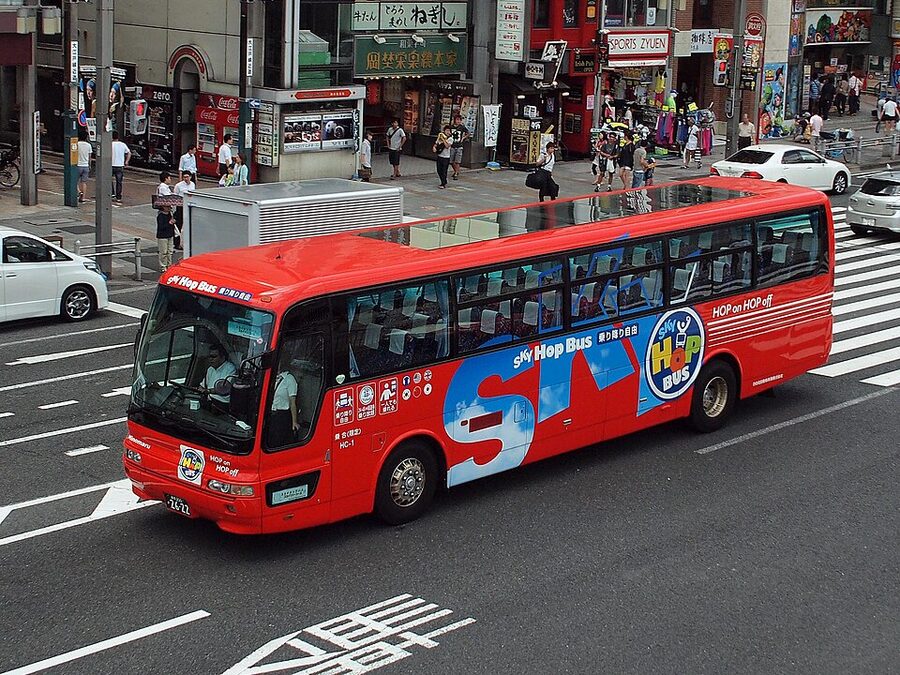 Sky Hop Bus fleet with glassed roof
