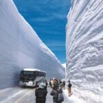 Tokyo: Kamikochi & Tateyama Kurobe Snow Wall 2-Day Tour - The Value of This Tour