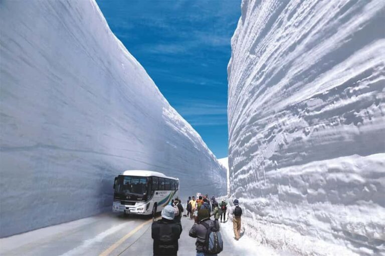 Tokyo: Kamikochi & Tateyama Kurobe Snow Wall 2-Day Tour - The Value of This Tour