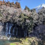 Tokyo: Karuizawa Scenic Highlights & Outlet Shopping Tour - Who Will Love This Tour?