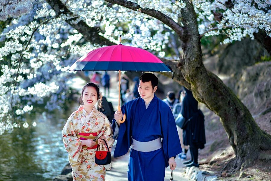 Couple in kimono walking under cherry blossoms with an umbrella