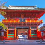 Tokyo: Meiji Jingu & Kanda Myjin guided tour - What to Expect During the Tour