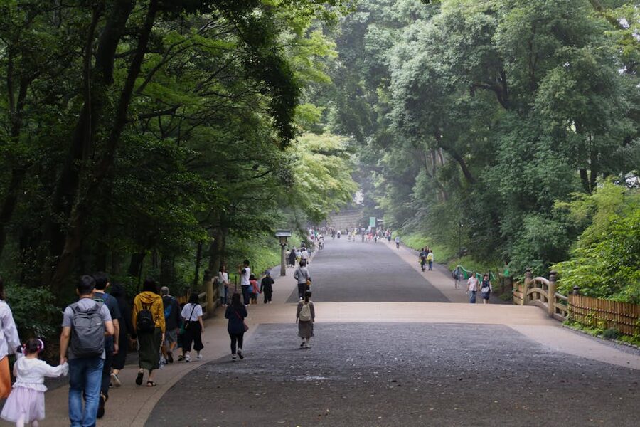 Serene pathway surrounded by trees at Meiji Shrine Tokyo