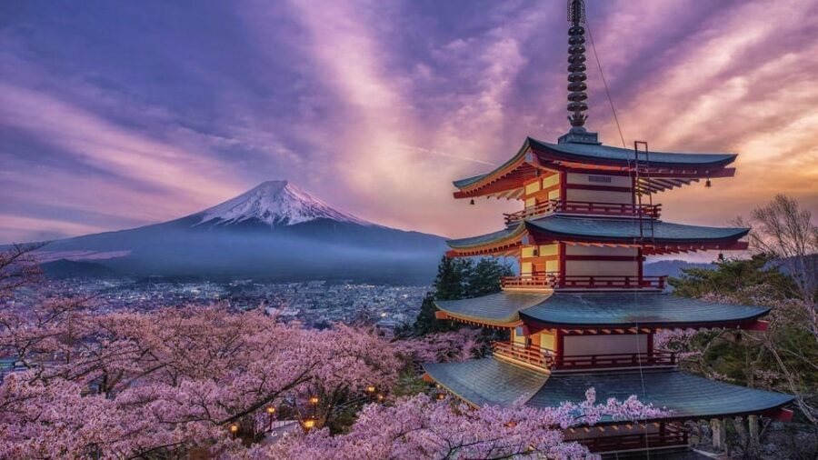 Tokyo: Mount Fuji and Hakone Private Sightseeing Day Tour - Exploring the Itinerary in Detail