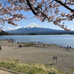 Tokyo: Mount Fuji Private Day Tour With Low Price Guarantee - Who is this tour best suited for?