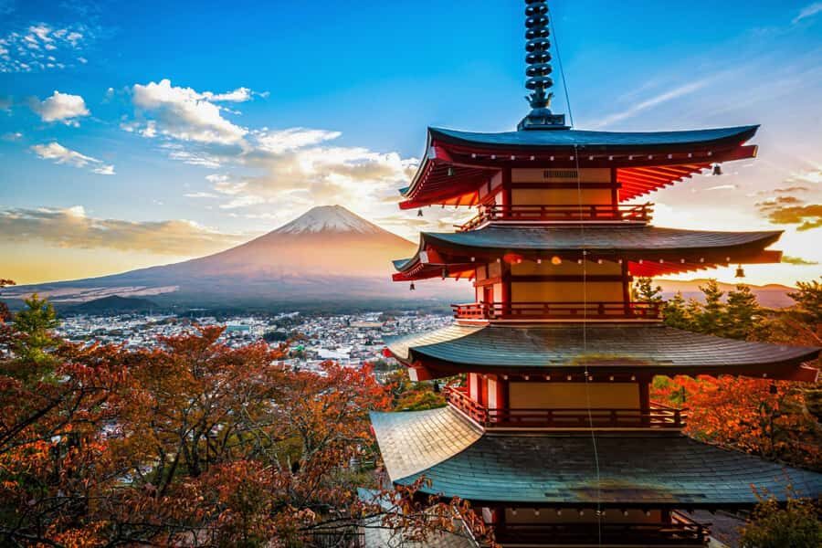 Tokyo: Mt. Fuji, Kawagoe, & Hikawa Shrine Day Trip - Practical Details & Value Analysis