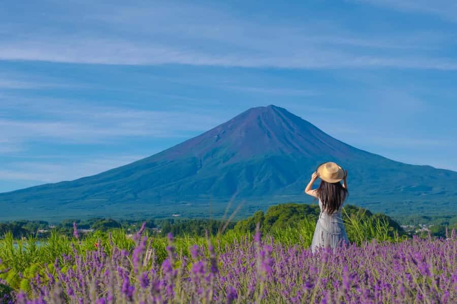 Tokyo: Mt. Fuji, Makaino Farm, and Lake Kawaguchi Tour - Practical Details