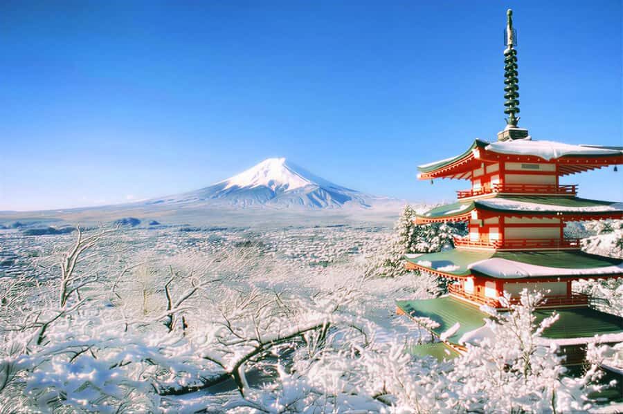 Tokyo: Mt Fuji & Oishi Park &Lake Kawaguchi & OshincHakkai - What’s Included and How the Day Unfolds