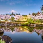 Tokyo: New Views of Mt. Fuji Cherry Blossoms & Tea Picking - Why This Tour Offers Great Value