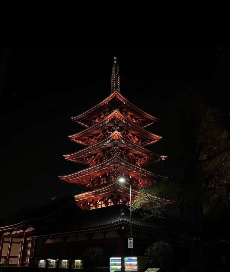 Tokyo Night Private Tour With English Speaking Driver - Who Is This Tour Best For?