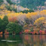 Tokyo: Nikko Chzen-ji Temple Private Full Customizable Tour - Flexible Itinerary Designed for Your Interests