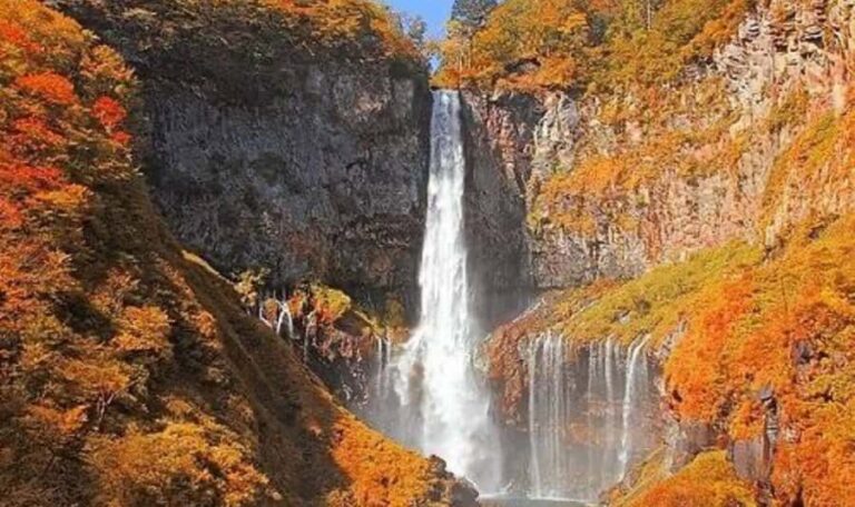 Tokyo: Nikko Private Day Trip with English Guide - Who Will Love This Tour?