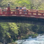 Tokyo: Nikko Private Tailored Day Tour with Premium Vellfire - Practical Considerations and Tips