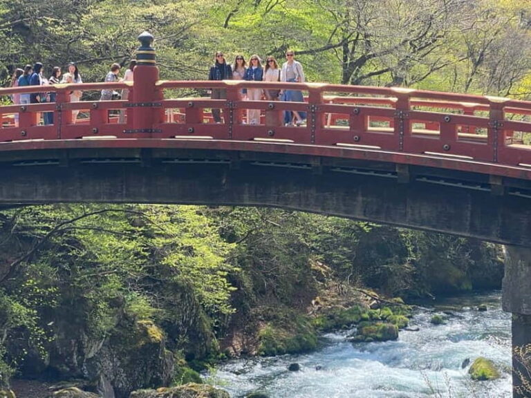 Tokyo: Nikko Private Tailored Day Tour with Premium Vellfire - Practical Considerations and Tips