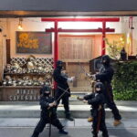 Tokyo: Ninja Experience Cafe Asakusa - What to Expect at the Ninja Experience Cafe